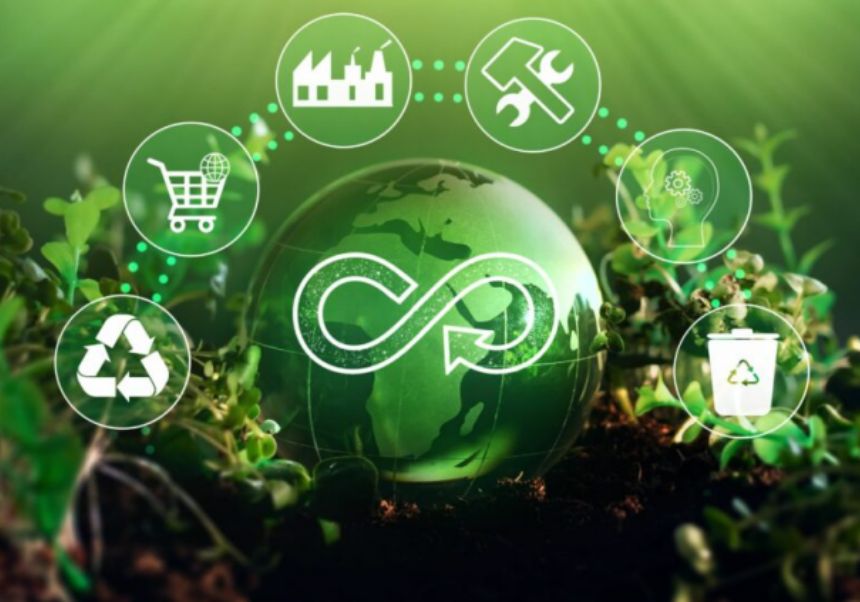 Economía circular en agricultura como fuente de alternativas a fertilizantes de síntesis química